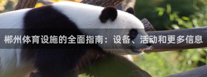 意昂3官网：郴州体育设施的全面指南：设备、活动和更多