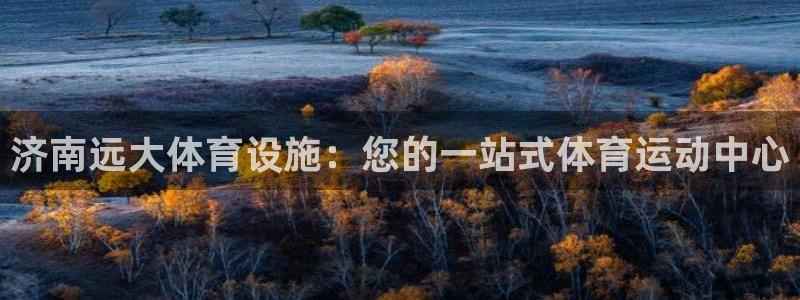 意昂体育3招商电话号码查询是多少：济南远大体育设施：