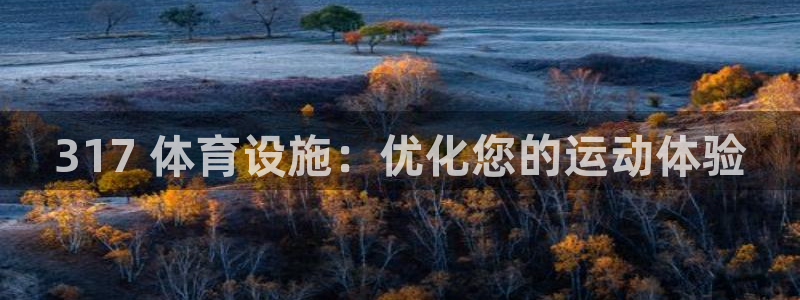 意昂3娱乐40996：317 体育设施：优化您的运动