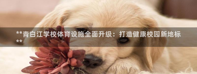 意昂体育3平台是正规平台吗安全吗：**青白江学校体育