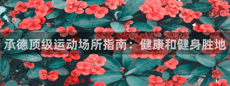 意昂体育3平台是正规平台吗知乎：承德顶级运动场所指南