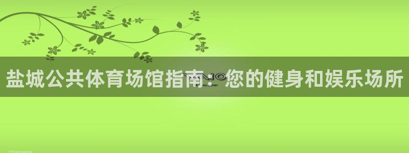 意昂3集团官网网址：盐城公共体育场馆指南：您的健身和
