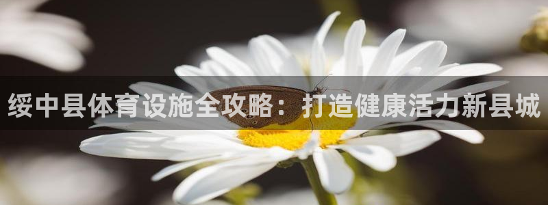 意昂3集团官网网址：绥中县体育设施全攻略：打造健康活