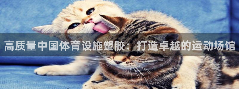 意昂3娱乐40996：高质量中国体育设施塑胶：打造卓