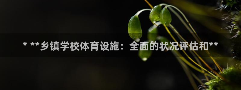 意昂3娱乐首页网站大全：* **乡镇学校体育设施：全