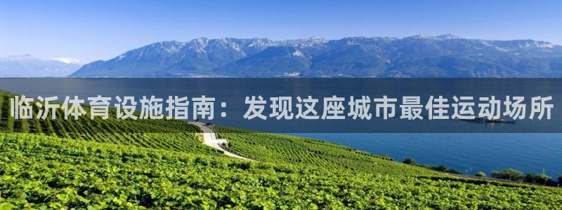 意昂体育3平台注册要钱吗：临沂体育设施指南：发现这座