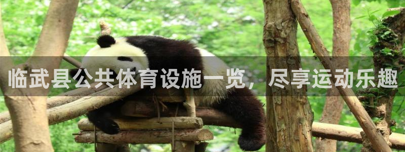 意昂体育3官方客服电话：临武县公共体育设施一览，尽享
