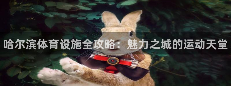 注册意昂3：哈尔滨体育设施全攻略：魅力之城的运动天堂