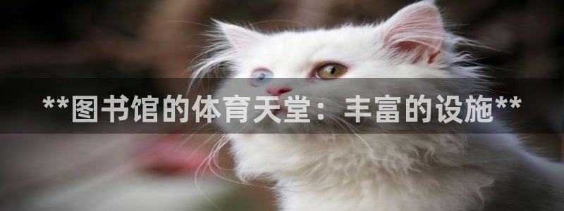 意昂体育3：**图书馆的体育天堂：丰富的设施**