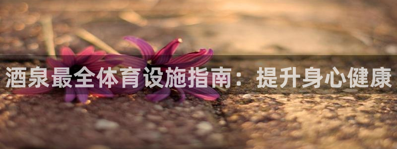 意昂体育3招商电话是多少：酒泉最全体育设施指南：提升