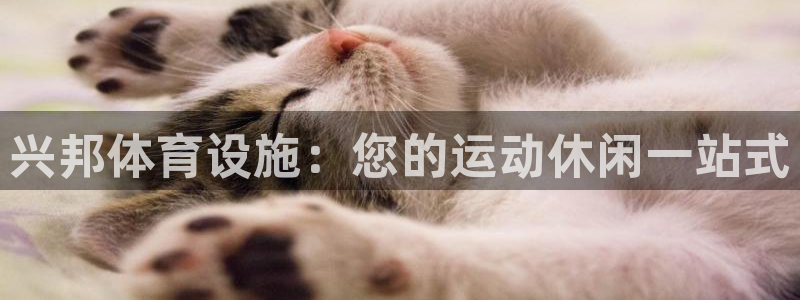 意昂体育3招商电话号码查询是多少：兴邦体育设施：您的