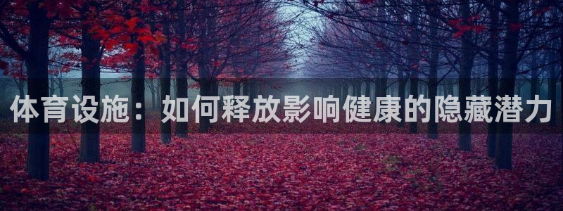意昂3神州：体育设施：如何释放影响健康的隐藏潜力