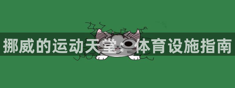 意昂体育3招商电话号码是多少啊：挪威的运动天堂：体育
