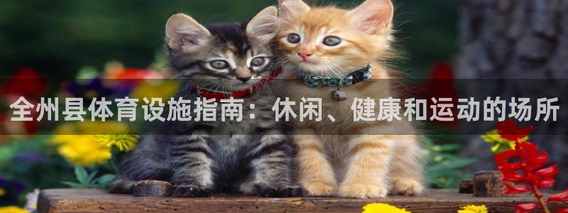 意昂3新能源：全州县体育设施指南：休闲、健康和运动的
