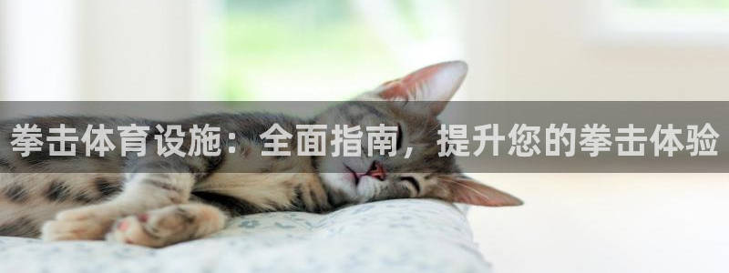 意昂体育3招商：拳击体育设施：全面指南，提升您的拳击