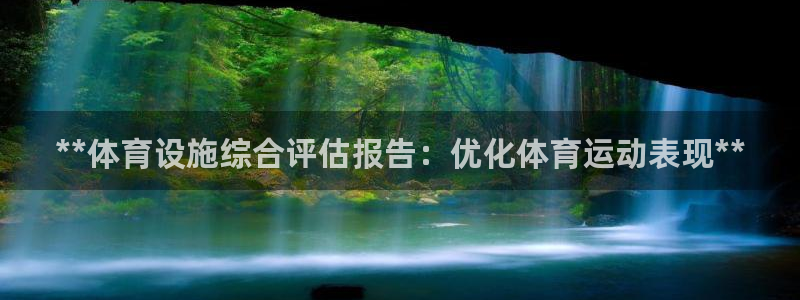 意昂3集团logo：**体育设施综合评估报告：优化体