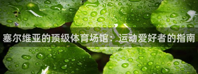 意昂3集团logo：塞尔维亚的顶级体育场馆：运动爱好