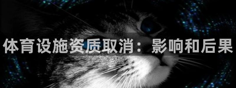 意昂体育3平台是正规平台吗：体育设施资质取消：影响和