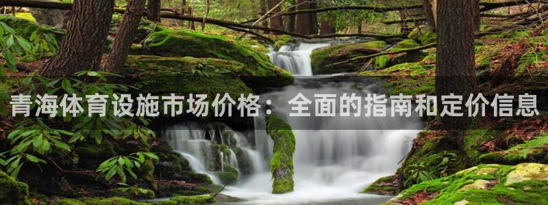 意昂3开户：青海体育设施市场价格：全面的指南和定价信