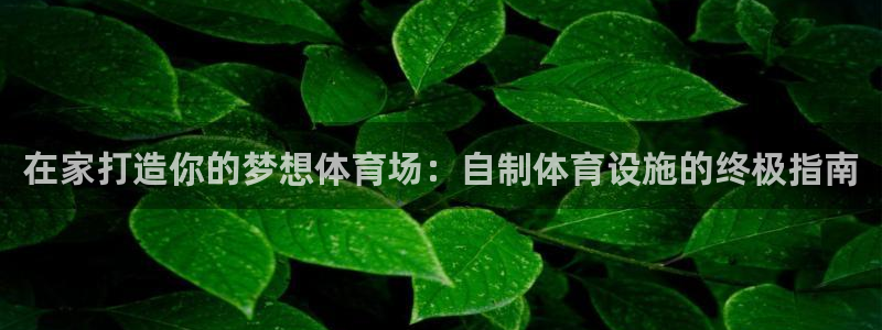 意昂3娱乐首页网站大全：在家打造你的梦想体育场：自制