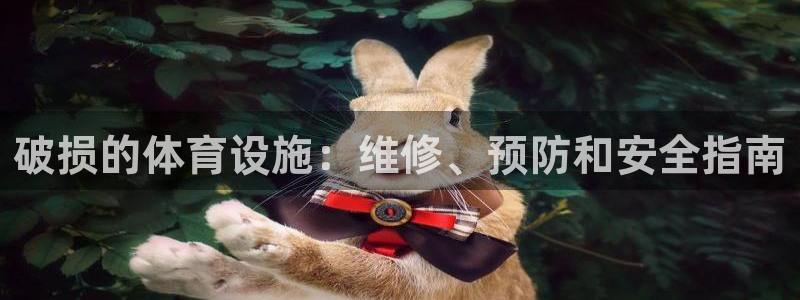 意昂体育3平台假的吗是真的吗吗：破损的体育设施：维修