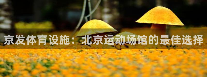 意昂体育3平台注册流程图：京发体育设施：北京运动场馆