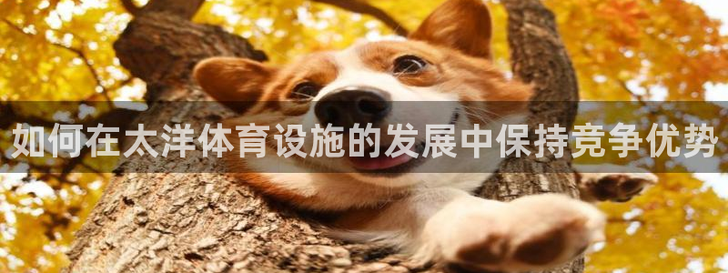 意昂体育3平台注册要钱吗是真的吗：如何在太洋体育设施
