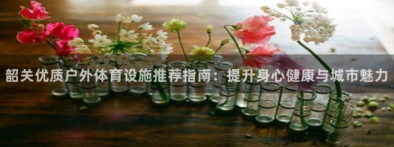 意昂3娱乐下载：韶关优质户外体育设施推荐指南：提升身