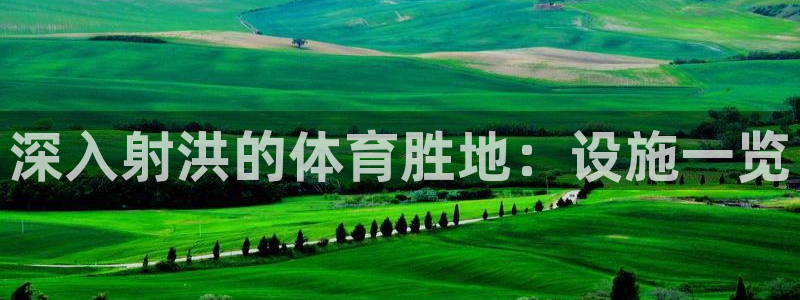 意昂3集团官网网址：深入射洪的体育胜地：设施一览