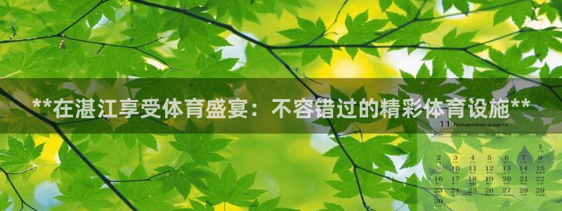意昂3集团：**在湛江享受体育盛宴：不容错过的精彩体