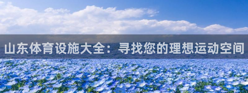 意昂3娱乐下载：山东体育设施大全：寻找您的理想运动空