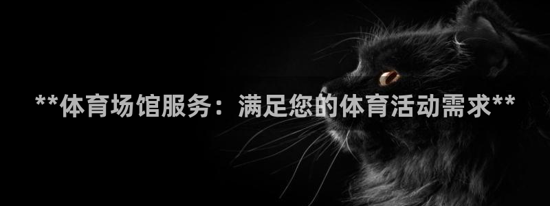 意昂3五金厂：**体育场馆服务：满足您的体育活动需求