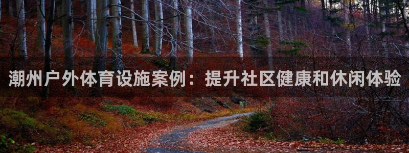 意昂3五金厂：潮州户外体育设施案例：提升社区健康和休