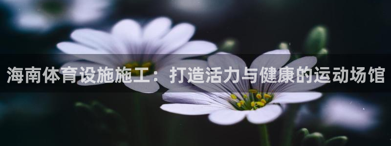 意昂体育3：海南体育设施施工：打造活力与健康的运动场