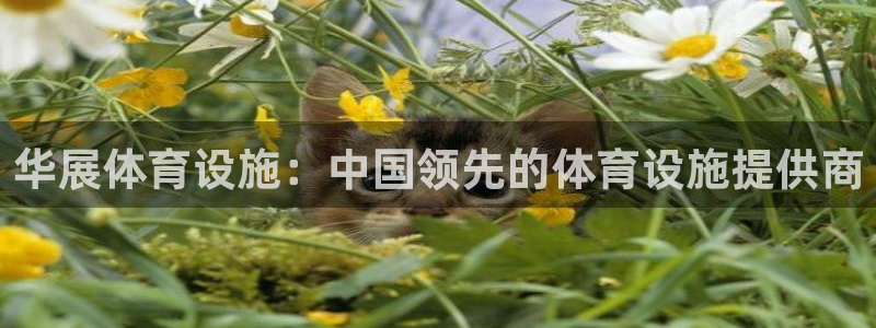 意昂体育3平台是正规平台吗安全吗：华展体育设施：中国