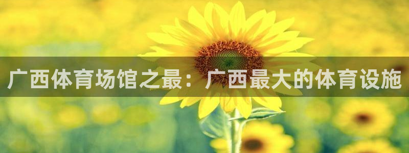 意昂3娱乐网站：广西体育场馆之最：广西最大的体育设施