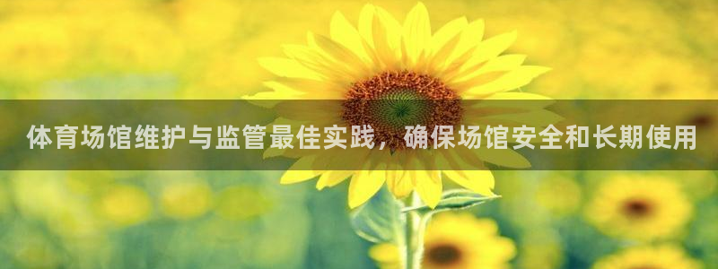 意昂3新能源： 体育场馆维护与监管最佳实践，确保场馆