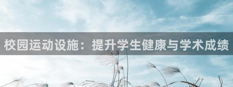 意昂体育3平台注册要钱吗是真的吗：校园运动设施：提升