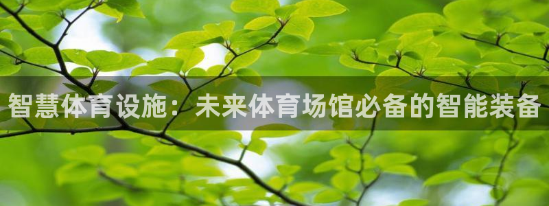 意昂3集团官网首页：智慧体育设施：未来体育场馆必备的
