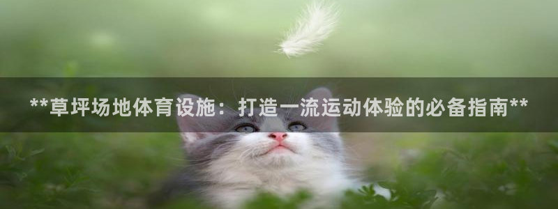 意昂体育3招商电话号码查询：**草坪场地体育设施：打