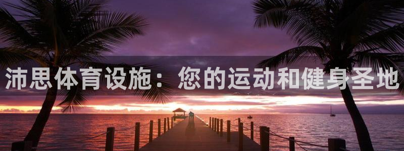 意昂体育3平台APP：沛思体育设施：您的运动和健身圣