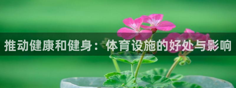 意昂体育3招商电话号码：推动健康和健身：体育设施的好