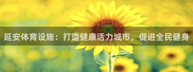 意昂体育3招商电话号码：延安体育设施：打造健康活力城市，促进