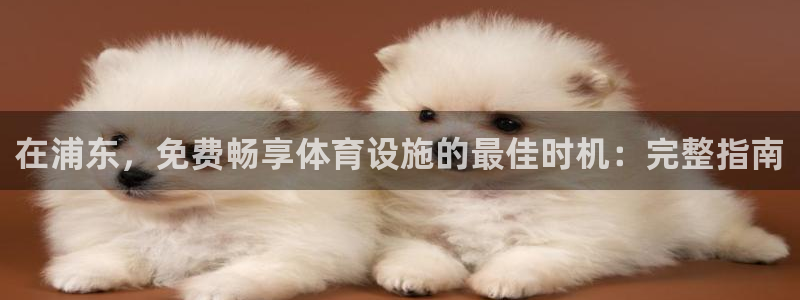 意昂3集团官网首页网址：在浦东，免费畅享体育设施的最