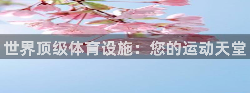 意昂3神州：世界顶级体育设施：您的运动天堂