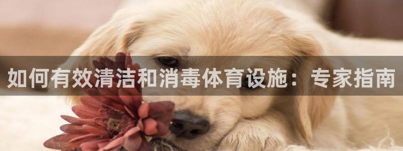 海南意昂体育3：如何有效清洁和消毒体育设施：专家指南