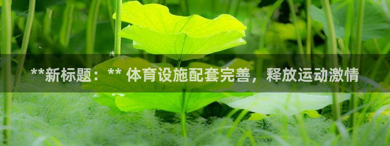 注册意昂3：**新标题：** 体育设施配套完善，释放