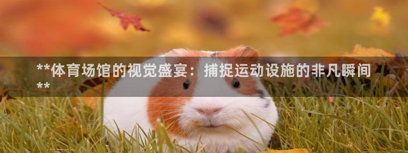 意昂体育3招商电话是多少：**体育场馆的视觉盛宴：捕