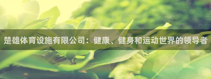 意昂体育3是干嘛的公司：楚雄体育设施有限公司：健康、