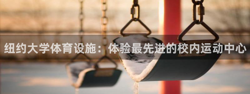 意昂体育3平台是正规平台吗安全吗：纽约大学体育设施：